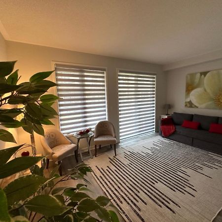 Modern Townhouse, Vaughan, Ontario, Canada 外观 照片